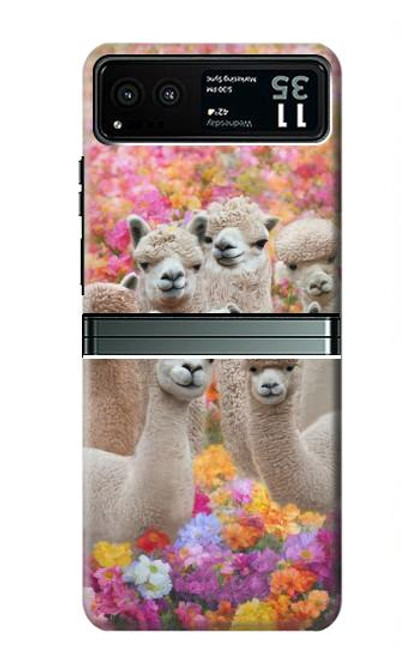 W3916 Alpaca Family Baby Alpaca Hard Case and Leather Flip Case For Motorola Razr 40