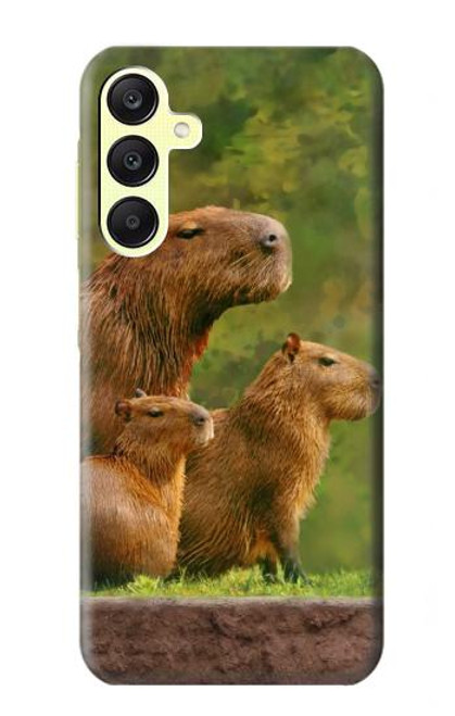 W3917 Capybara Family Giant Guinea Pig Hard Case and Leather Flip Case For Samsung Galaxy A25 5G