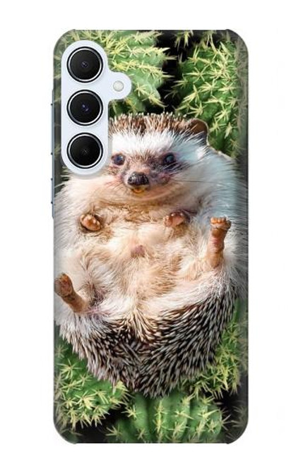 W3863 Pygmy Hedgehog Dwarf Hedgehog Paint Hard Case and Leather Flip Case For Samsung Galaxy A55 5G