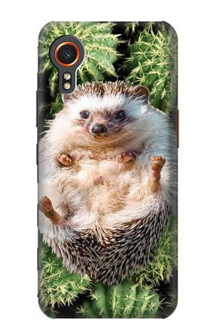 W3863 Pygmy Hedgehog Dwarf Hedgehog Paint Hard Case and Leather Flip Case For Samsung Galaxy Xcover7