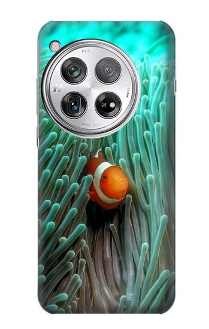 W3893 Ocellaris clownfish Hard Case and Leather Flip Case For OnePlus 12