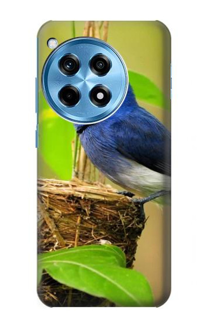 W3839 Bluebird of Happiness Blue Bird Hard Case and Leather Flip Case For OnePlus 12R