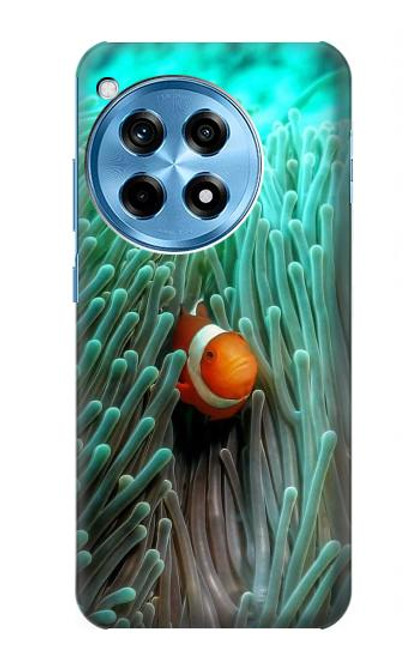 W3893 Ocellaris clownfish Hard Case and Leather Flip Case For OnePlus 12R