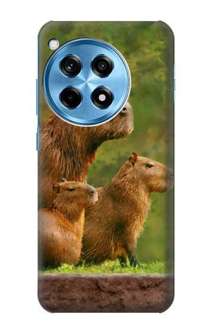 W3917 Capybara Family Giant Guinea Pig Hard Case and Leather Flip Case For OnePlus 12R