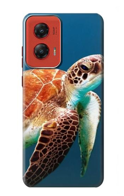 W3497 Green Sea Turtle Hard Case and Leather Flip Case For Motorola Moto G Stylus 5G (2024)