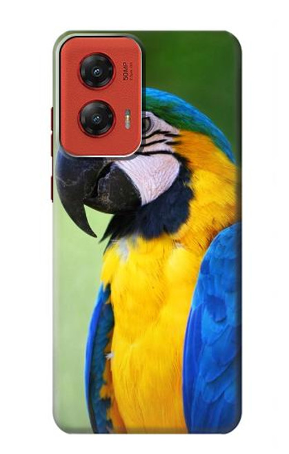 W3888 Macaw Face Bird Hard Case and Leather Flip Case For Motorola Moto G Stylus 5G (2024)