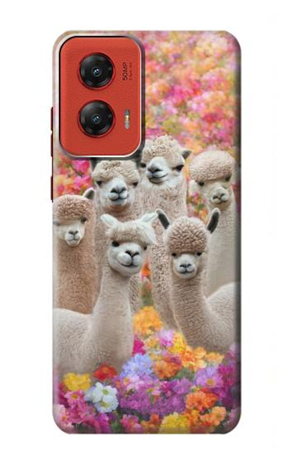 W3916 Alpaca Family Baby Alpaca Hard Case and Leather Flip Case For Motorola Moto G Stylus 5G (2024)