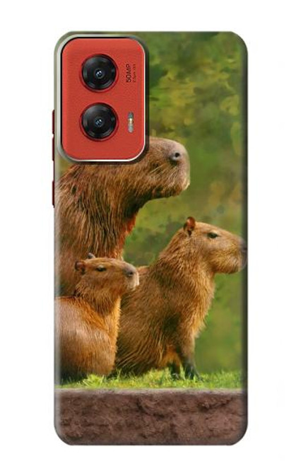 W3917 Capybara Family Giant Guinea Pig Hard Case and Leather Flip Case For Motorola Moto G Stylus 5G (2024)