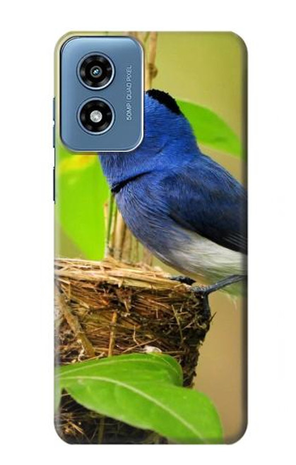 W3839 Bluebird of Happiness Blue Bird Hard Case and Leather Flip Case For Motorola Moto G Play 4G (2024)