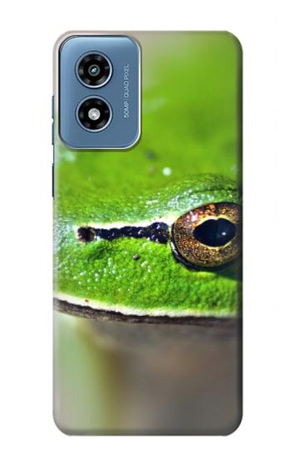 W3845 Green frog Hard Case and Leather Flip Case For Motorola Moto G Play 4G (2024)