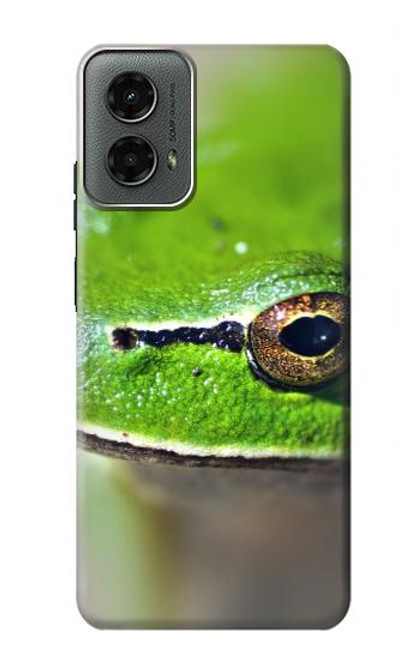 W3845 Green frog Hard Case and Leather Flip Case For Motorola Moto G 5G (2024)