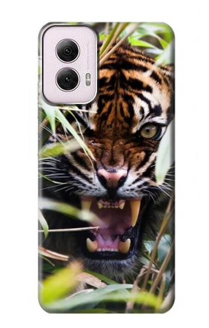 W3838 Barking Bengal Tiger Hard Case and Leather Flip Case For Motorola Moto G Power 5G (2024)