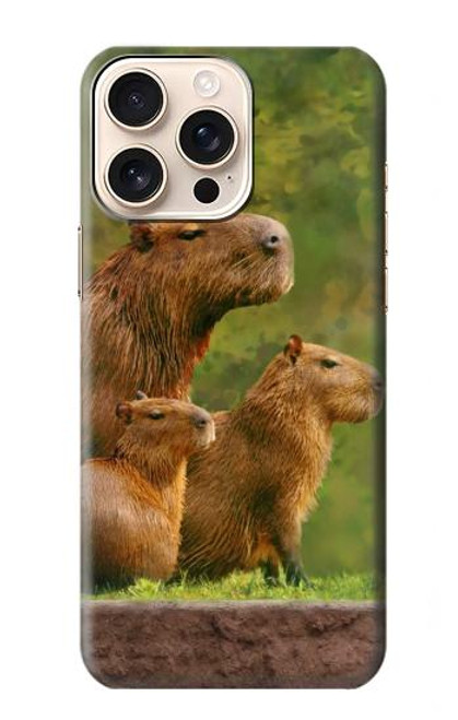 W3917 Capybara Family Giant Guinea Pig Hard Case and Leather Flip Case For iPhone 16 pro max