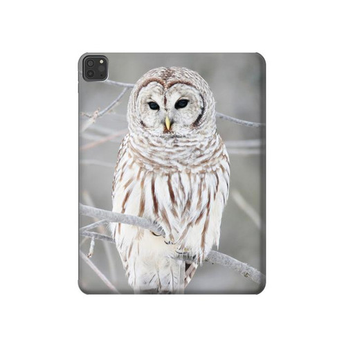 W1566 Snowy Owl White Owl Tablet Hard Case For iPad Pro 11 (2021,2020,2018, 3rd, 2nd, 1st)