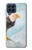 W3843 Bald Eagle On Ice Hard Case and Leather Flip Case For Samsung Galaxy M53