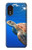 W3898 Sea Turtle Hard Case and Leather Flip Case For Samsung Galaxy Xcover 5