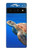 W3898 Sea Turtle Hard Case and Leather Flip Case For Google Pixel 6 Pro