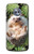W3863 Pygmy Hedgehog Dwarf Hedgehog Paint Hard Case and Leather Flip Case For Motorola Moto X4