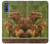 W3917 Capybara Family Giant Guinea Pig Hard Case and Leather Flip Case For Motorola G Pure