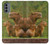 W3917 Capybara Family Giant Guinea Pig Hard Case and Leather Flip Case For Motorola Moto G31