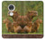 W3917 Capybara Family Giant Guinea Pig Hard Case and Leather Flip Case For Motorola Moto G7, Moto G7 Plus