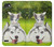 W3795 Grumpy Kitten Cat Playful Siberian Husky Dog Paint Hard Case and Leather Flip Case For LG Q6