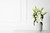 WHITE | XL TRANSPARENT BLACK JAR