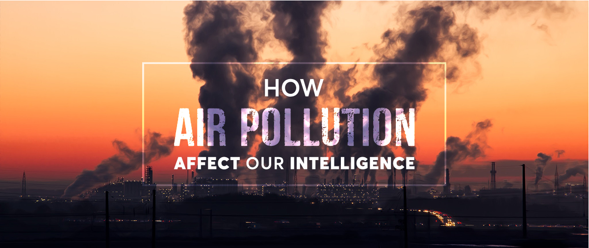 How Air Pollution Affect Our Intelligence