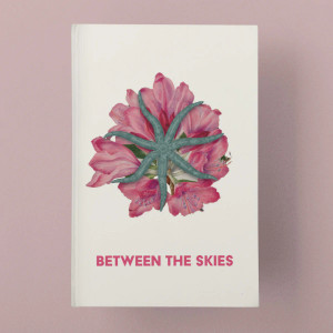 Between the Skies Collector Edition Between the Skies Collector Edition