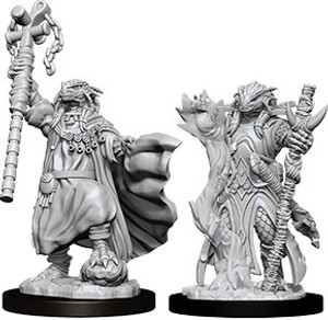 D&D Nolzur's Miniatures: Dragonborn Sorcerer Female W08 D&D Nolzur's Miniatures: Dragonborn Sorcerer Female W08