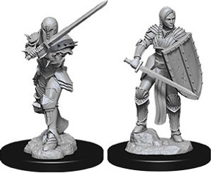 D&D Nolzur's Miniatures: Human Fighter Female W09 D&D Nolzur's Miniatures: Human Fighter Female W09