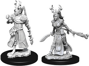 D&D Nolzur's Miniatures: Human Druid Female W09 D&D Nolzur's Miniatures: Human Druid Female W09