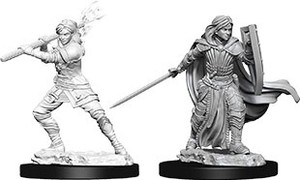 D&D Nolzur's Miniatures: Human Paladin Female W10 D&D Nolzur's Miniatures: Human Paladin Female W10