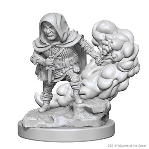 D&D Nolzur's Miniatures: Halfling Rogue Male W01 D&D Nolzur's Miniatures: Halfling Rogue Male W01