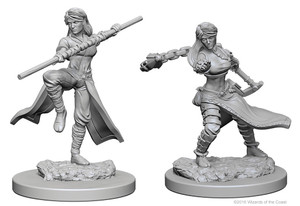D&D Nolzur's Miniatures: Human Monk Female W01 D&D Nolzur's Miniatures: Human Monk Female W01