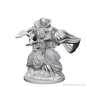 D&D Nolzur's Miniatures: Human Wizard Male W01