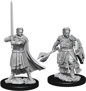 D&D Nolzur's Miniatures: Human Cleric Male W08 D&D Nolzur's Miniatures: Human Cleric Male W08