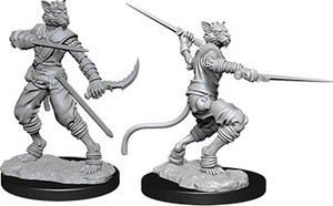 D&D Nolzur's Miniatures: Tabaxi Rogue Male W07 D&D Nolzur's Miniatures: Tabaxi Rogue Male W07