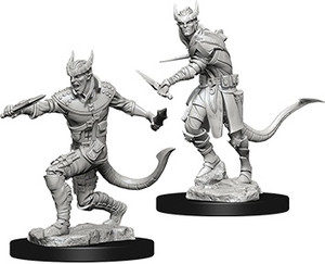 D&D Nolzur's Miniatures: Tiefling Rogue Male W05 D&D Nolzur's Miniatures: Tiefling Rogue Male W05