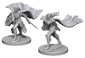 Pathfinder Deep Cuts Miniatures: Elf Female Paladin W04 Pathfinder Deep Cuts Miniatures: Elf Female Paladin W04