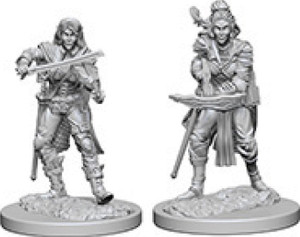 Pathfinder Deep Cuts Miniatures: Elf Female Bard W04 Pathfinder Deep Cuts Miniatures: Elf Female Bard W04