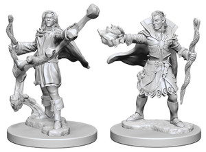 Pathfinder Deep Cuts Miniatures: Elf Male Sorcerer W01 Pathfinder Deep Cuts Miniatures: Elf Male Sorcerer W01