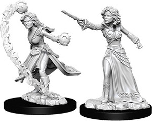 Pathfinder Deep Cuts Miniatures: Female Human Wizard W06 Pathfinder Deep Cuts Miniatures: Female Human Wizard W06