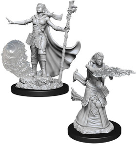D&D Nolzur's Miniatures: Human Wizard Female W11 D&D Nolzur's Miniatures: Human Wizard Female W11
