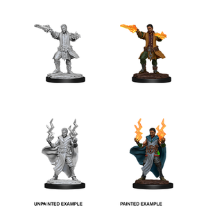D&D Nolzur's Miniatures: Human Sorcerer Male W12 D&D Nolzur's Miniatures: Human Sorcerer Male W12