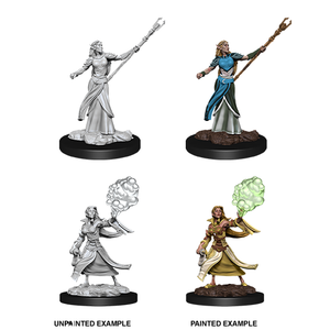 D&D Nolzur's Miniatures: Elf Sorcerer Female W12 D&D Nolzur's Miniatures: Elf Sorcerer Female W12