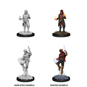 D&D Nolzur's Miniatures: Tiefling Sorcerer Male W12 D&D Nolzur's Miniatures: Tiefling Sorcerer Male W12