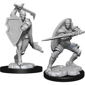 D&D Nolzur's Miniatures: Warforged Fighter Male W13