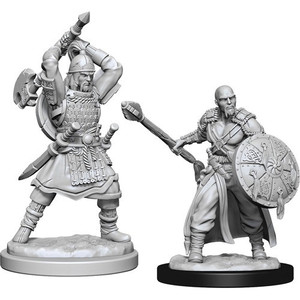 D&D Nolzur's Miniatures: Human Barbarian Male W13 D&D Nolzur's Miniatures: Human Barbarian Male W13
