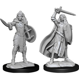 Pathfinder Deep Cuts Miniatures: Female Human Champion W14 Pathfinder Deep Cuts Miniatures: Female Human Champion W14